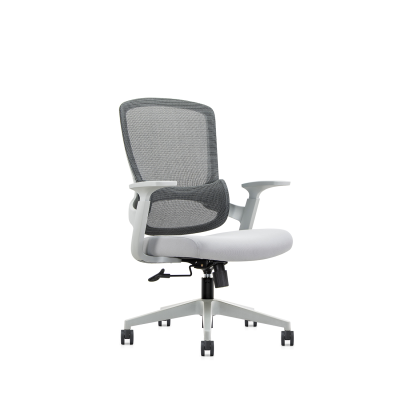 人體工程學行政老闆辦公椅AS-6246B